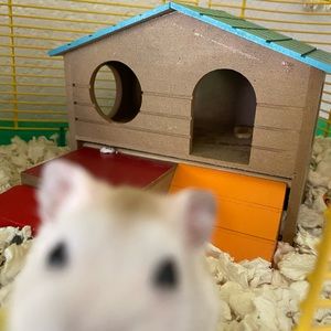 Meet your Posher, Leslie